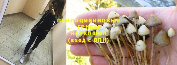 spice Аркадак