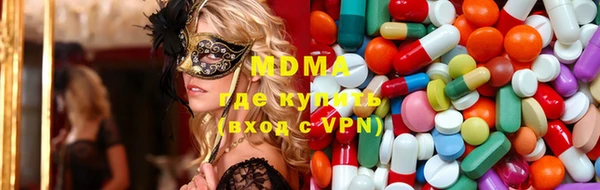 хмурый Арсеньев