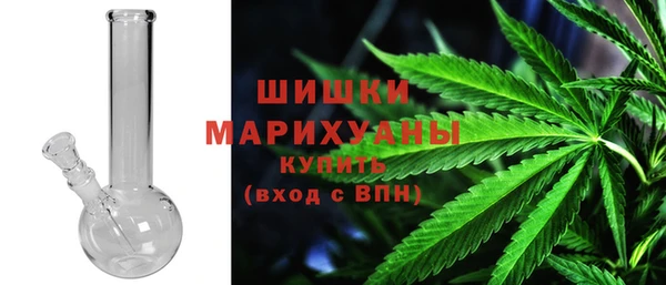 хмурый Арсеньев