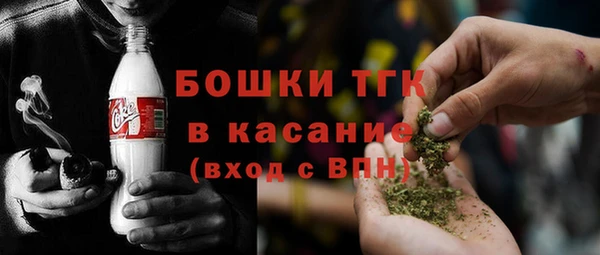 хмурый Арсеньев