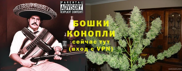 спиды Сосновоборск
