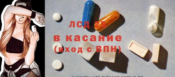 spice Аркадак
