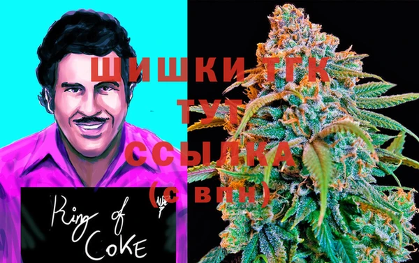 хмурый Арсеньев