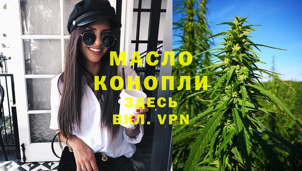 хмурый Арсеньев