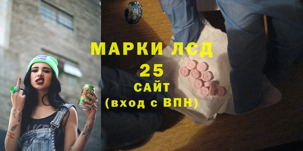 spice Аркадак