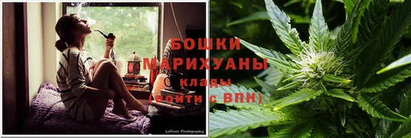 spice Аркадак