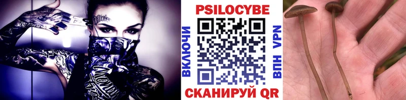ОМГ ОМГ ССЫЛКА  Гурьевск  Галлюциногенные грибы мицелий 